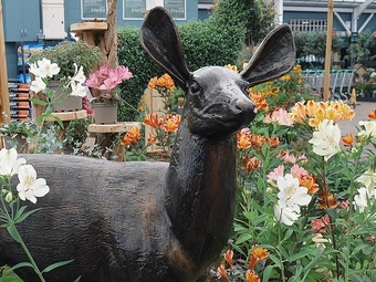 Creating The Perfect Feature Garden
