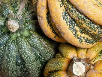 Pumpkin Soup Recipe
