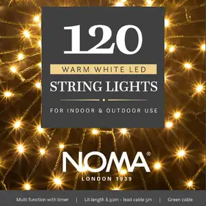 120 Warm White Multi Function String Lights