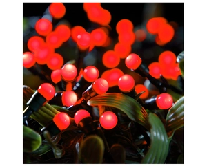 200 FIT & FORGET BATTERY OPERATED RED BERRY LIGHTS