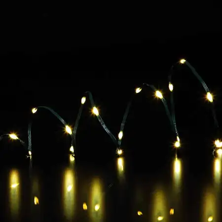 200 Duo Bulb Wire Lights - image 2