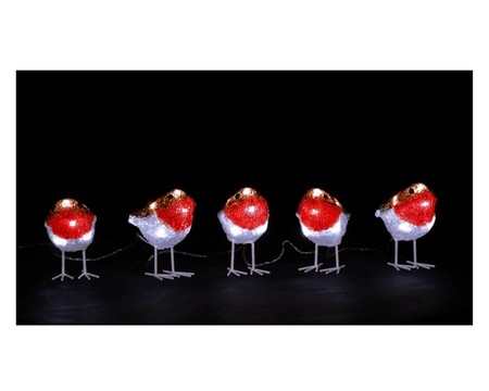 5 ACRYLIC ROBIN STRING LIGHTS