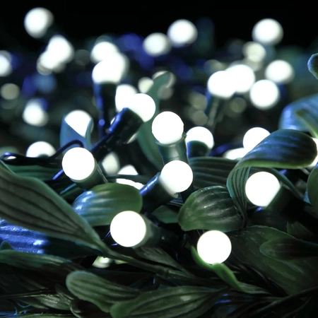 50 Fit & Forget White Multi Function Berry Lights