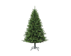 5FT CANTERBURY SPRUCE TREE