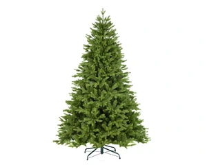 6FT ELIZABETH PINE TREE - image 1