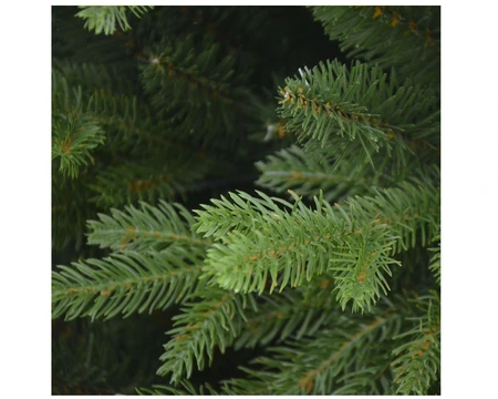 6FT ELIZABETH PINE TREE - image 2