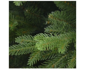 7FT ELIZABETH PINE TREE - image 2