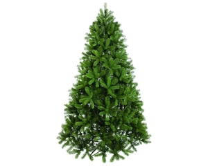 7FT MAYBERRY SPRUCE TREE