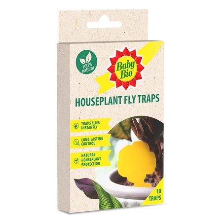BB HOUSEPLANT FLY TRAPS 10PK