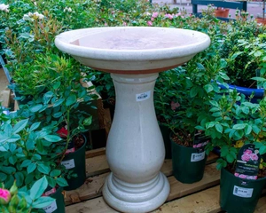 BIRD BATH ON STAND BEIGE