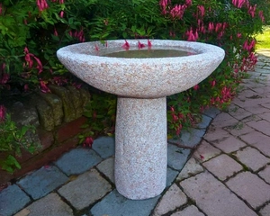 BIRD BATH POLISHED TOP EDGE PINK
