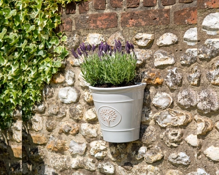 BLENHEIM WALL POT OFF WHITE