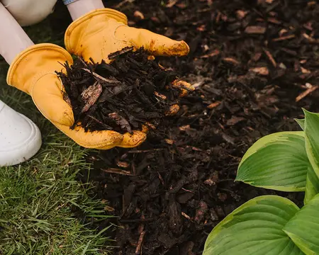DECORATIVE MINI BARK 70L - 2 FOR £14 - image 2