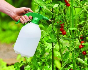 FLOPRO PRESSURE SPRAYER 2LTR