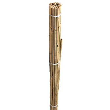 GI BAMBOO CANES BULK BUNDLE 90CM 20PK