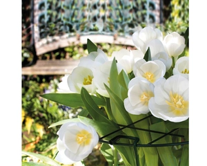 GI PLANT SUPPORT GRID 60CM - image 2