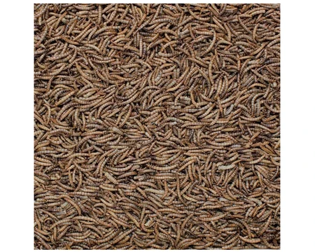 Henry Bell Mealworms 1kg - image 2