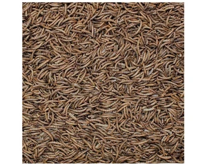 Henry Bell Mealworms 1kg - image 2