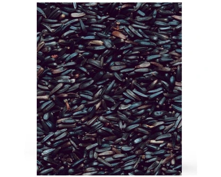 HENRY BELL NYGER SEED 900G - image 2