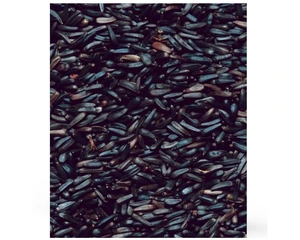 HENRY BELL NYGER SEED 900G - image 2