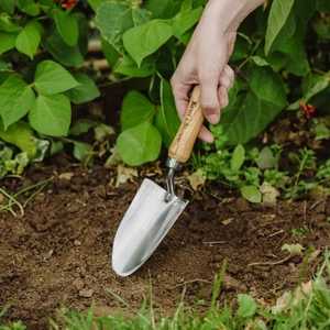 Kent & Stowe Ss Hand Trowel Fsc