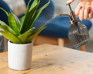 PLANT MISTER 250ML