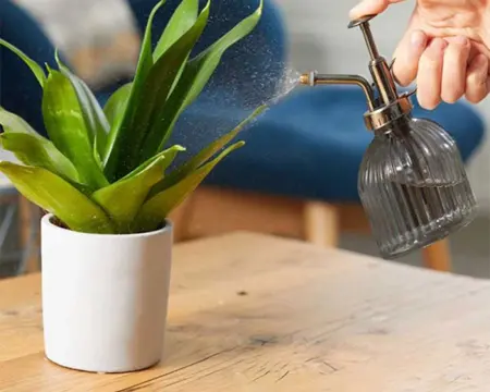 Plant Mister 250Ml - image 2