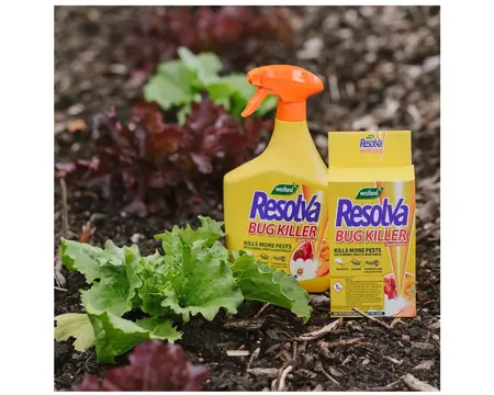 Resolva Bug Killer Liquid Concentrate 250Ml - image 6