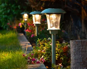 Sage Green Border Lights Set Of 3 - image 2