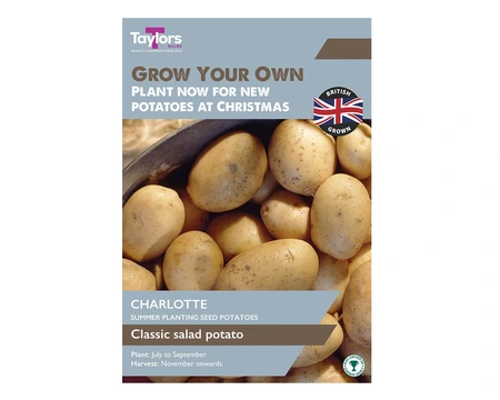 SEED POTATOES CHARLOTTE