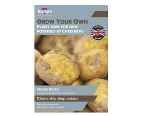SEED POTATOES MARIS PIPER