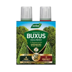 WESTLAND 2 IN1 FEED/PROTECT BUXUS 2 X 500ML