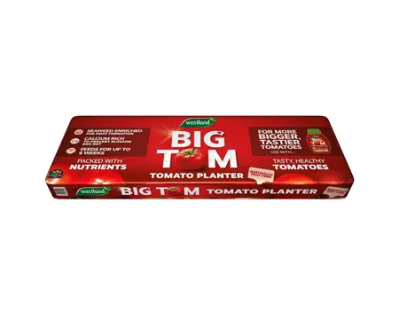 Westland Big Tom Peat Free Tomato Planter 50L - 2 For £14 - image 2