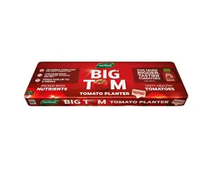 Westland Big Tom Peat Free Tomato Planter 50L - 2 For £14 - image 2