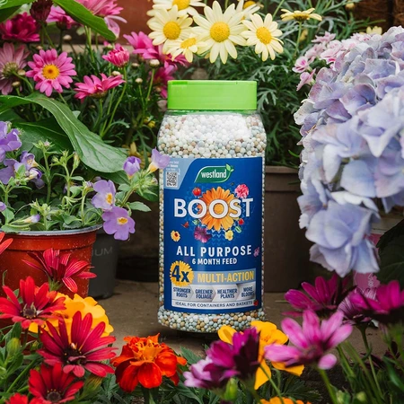 WESTLAND BOOST SLOW RELEASE FOOD 750G