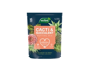 WESTLAND CACTI & SUCCULENT POTTING MIX 4L