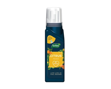 WESTLAND CITRUS FEED CONCENTRATE 200ML