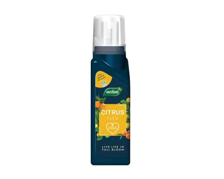 Westland Citrus Feed Concentrate 200Ml - image 2