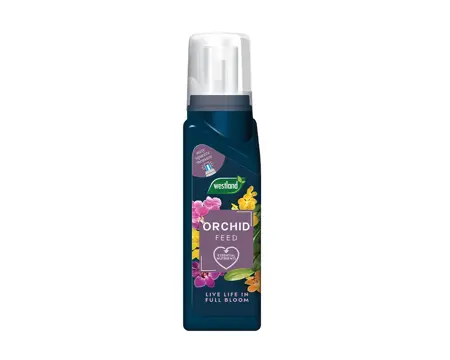 Westland Orchid Feed Concentrate 200Ml - image 2